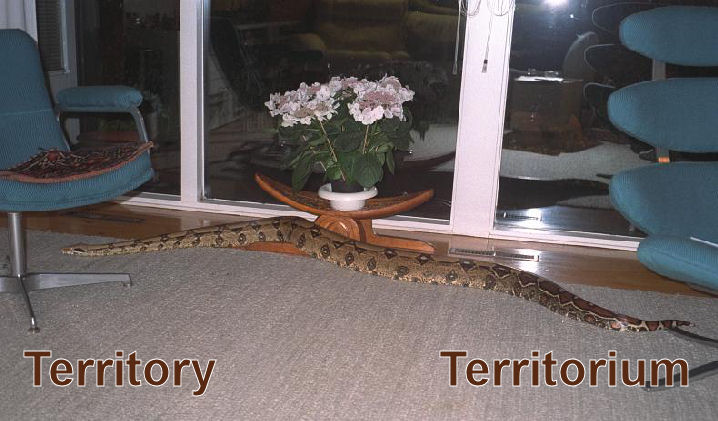 Territory / Territorium Territory / Territorium