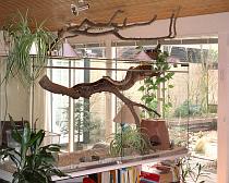 Boa terrarium Boa terrarium