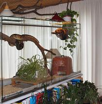 Boa terrarium Boa terrarium