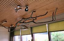 Ceiling with branches / Takken aan het plafond Ceiling with branches / Takken aan het plafond