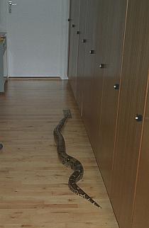 Inspection / Inspectie van ons huis Inspection / Inspectie van ons huis