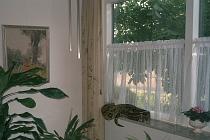 Ambush position on windowsill / Hinderlaag Ambush position on windowsill / Hinderlaag