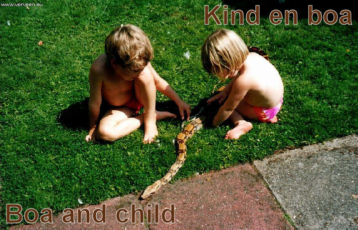 Boa & child / Kind en boa Boa & child / Kind en boa