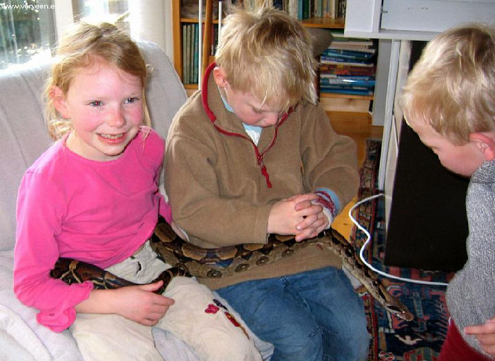 3 children with 1 boa / 3 kinderen met 1 boa