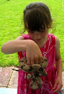 Girl plays with a boa 2 Girl plays with a boa 2