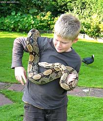 Child with boa 05 Child with boa 05