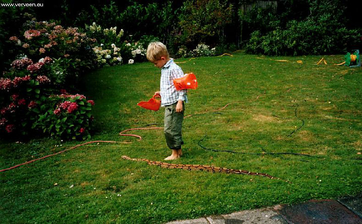 Garden snakes / Tuinslangen