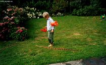 Garden and snakes Garden and snakes