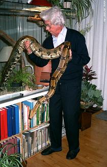 Taking the female out of her cage Taking the female out of her cage