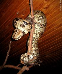 Pray before swallowing prey Pray before swallowing prey