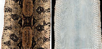 Outside and inside / Buiten- en binnenkant Outside and inside / Buiten- en binnenkant